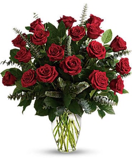 Ecuadorian  Red Roses